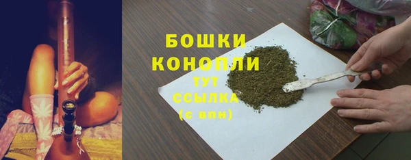 эйфоретик Гусев