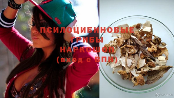 эйфоретик Гусев