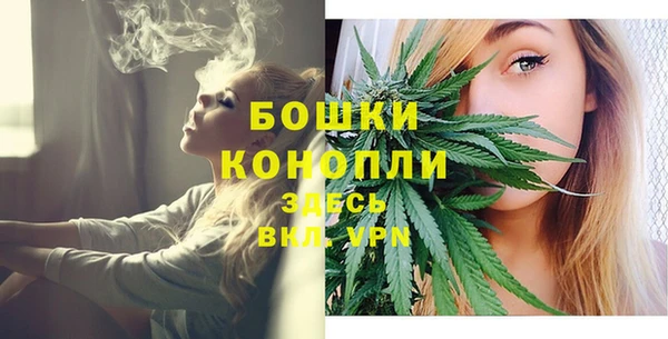 тгк Гусь-Хрустальный
