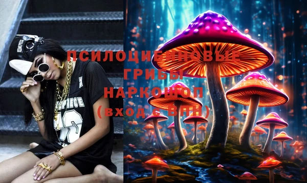 эйфоретик Гусев