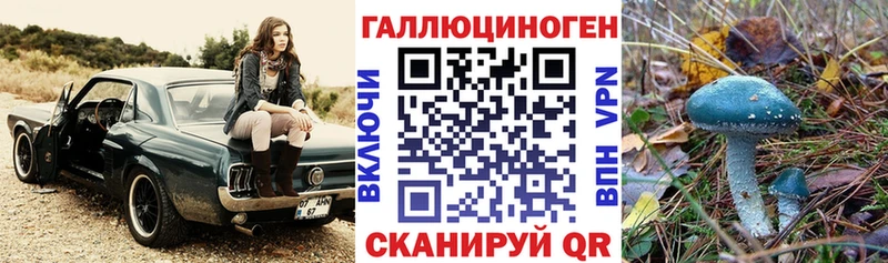 Галлюциногенные грибы Psilocybine cubensis  где купить   Новомосковск 